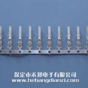 &#21315;&#20159;&#20307;&#32946;&#30331;&#24405;&#32593;&#31449;&#65288;&#20013;&#22269;&#65289;&#38598;&#22242;&#26377;&#38480;&#20844;&#21496;
